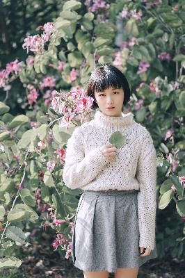 吞噬星空在线观看免费全集